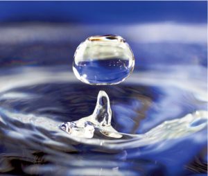 Resilience Resilience